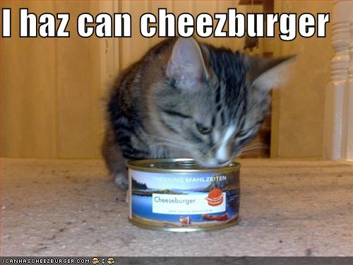 I Haz Can Cheeseburger lolcat meme